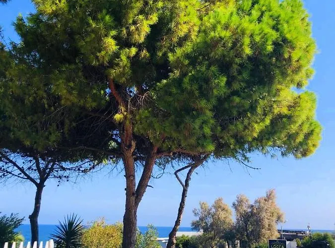 Sea & Sky Bungalows Escape Beach Guest Rooms Lejlighedshotel Kyrenia (Northern Cyprus)