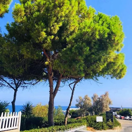 Sea & Sky Bungalows Escape Beach Guest Rooms Lägenhetshotell Kyrenia (Northern Cyprus)